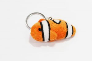 Finding Neamo keyring